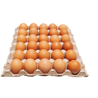 FRESH BROWN EGG GRADE AAA 30'S 鸡蛋