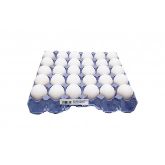 FRESH WHITE EGG ( 30 PCS/ TRAY) 新鲜白壳鸡蛋